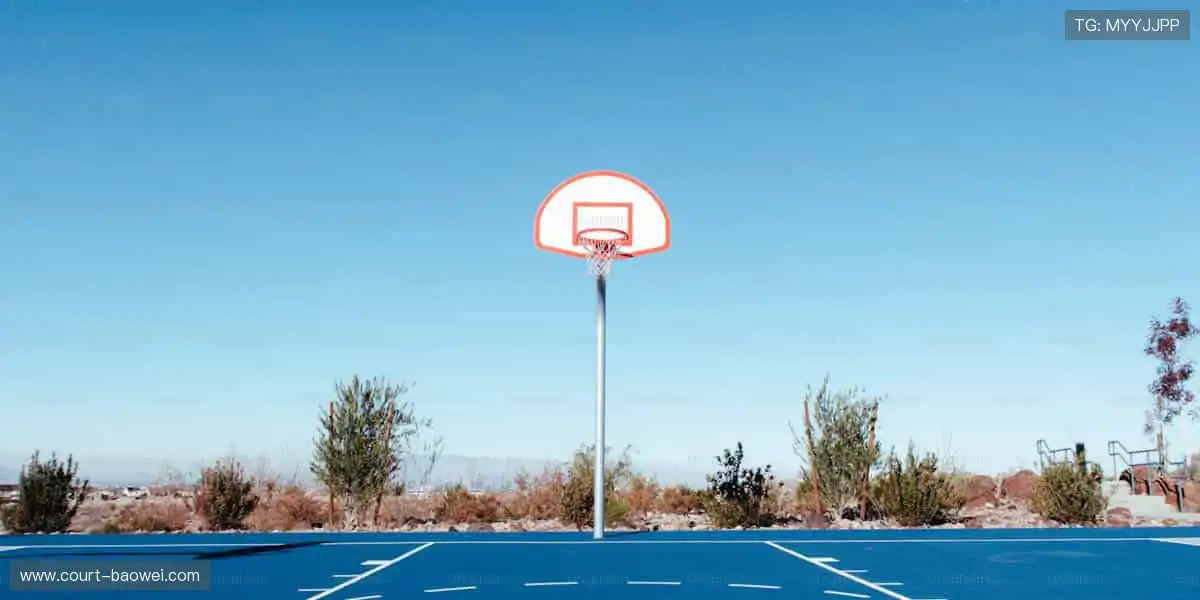 📱 实时比分、精彩回放，